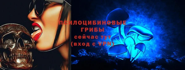 метадон Гусев