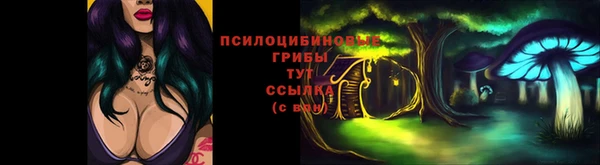 спайс Гусиноозёрск