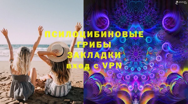 кокс Гусь-Хрустальный