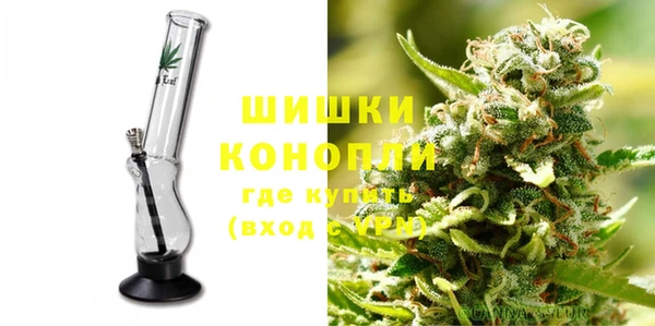 мяу мяу мука Горно-Алтайск