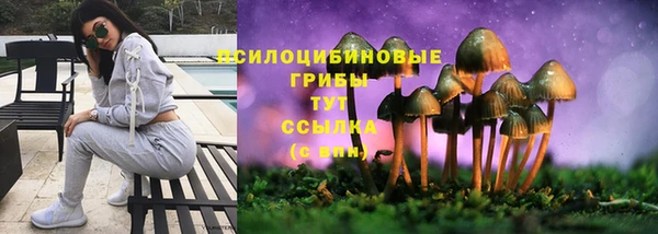 кокс Гусь-Хрустальный
